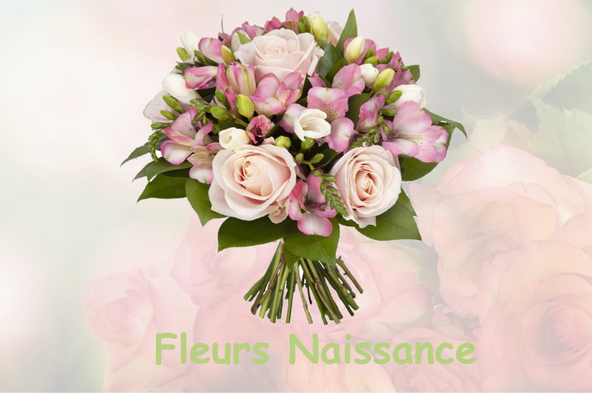 fleurs naissance AUZIELLE