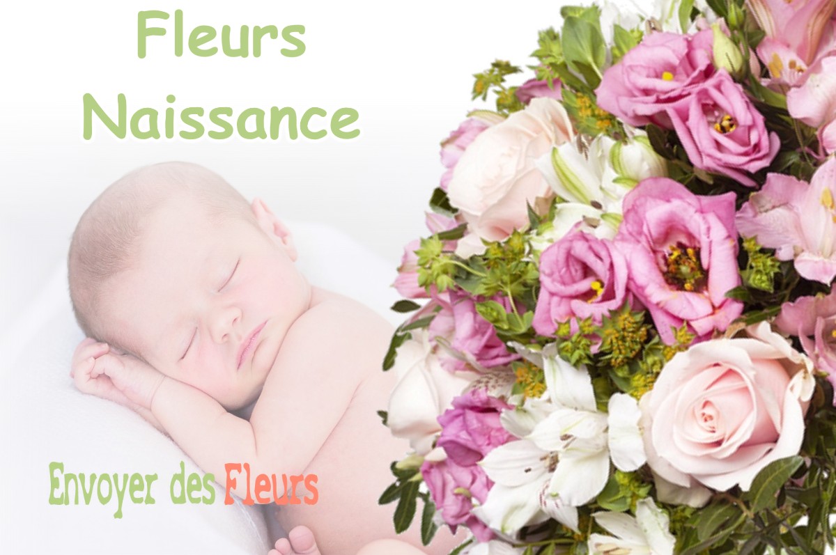 lIVRAISON FLEURS NAISSANCE à AUZIELLE