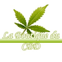 LA BOUTIQUE DU CBD AUZIELLE 